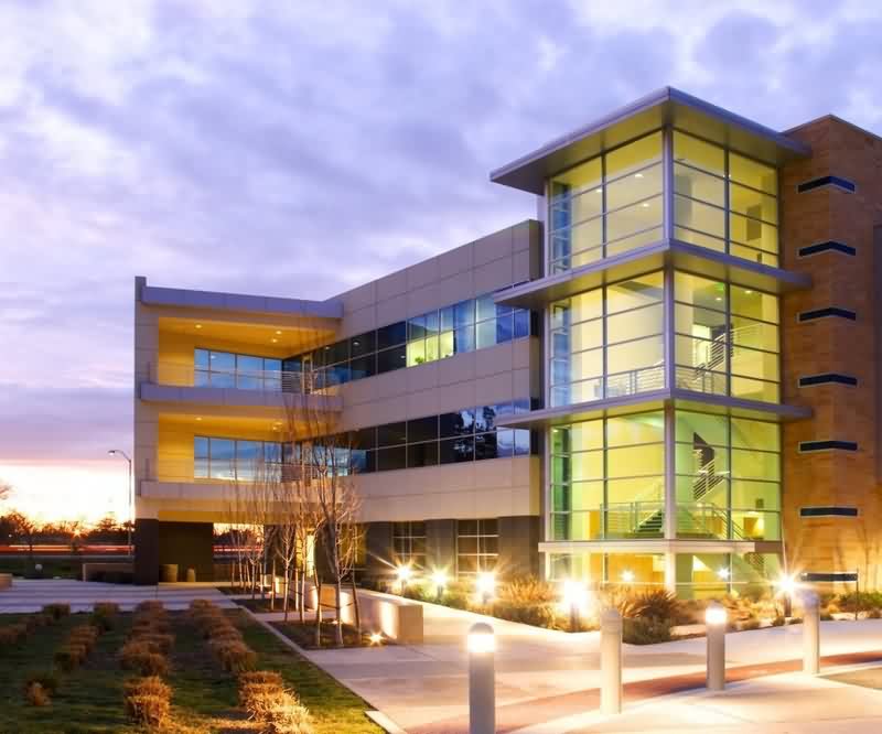 日本苍蝇春粉秘方